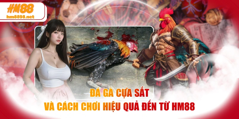 Đá Gà Cựa Sắt Và Cách Chơi Hiệu Quả Đến Từ HM88